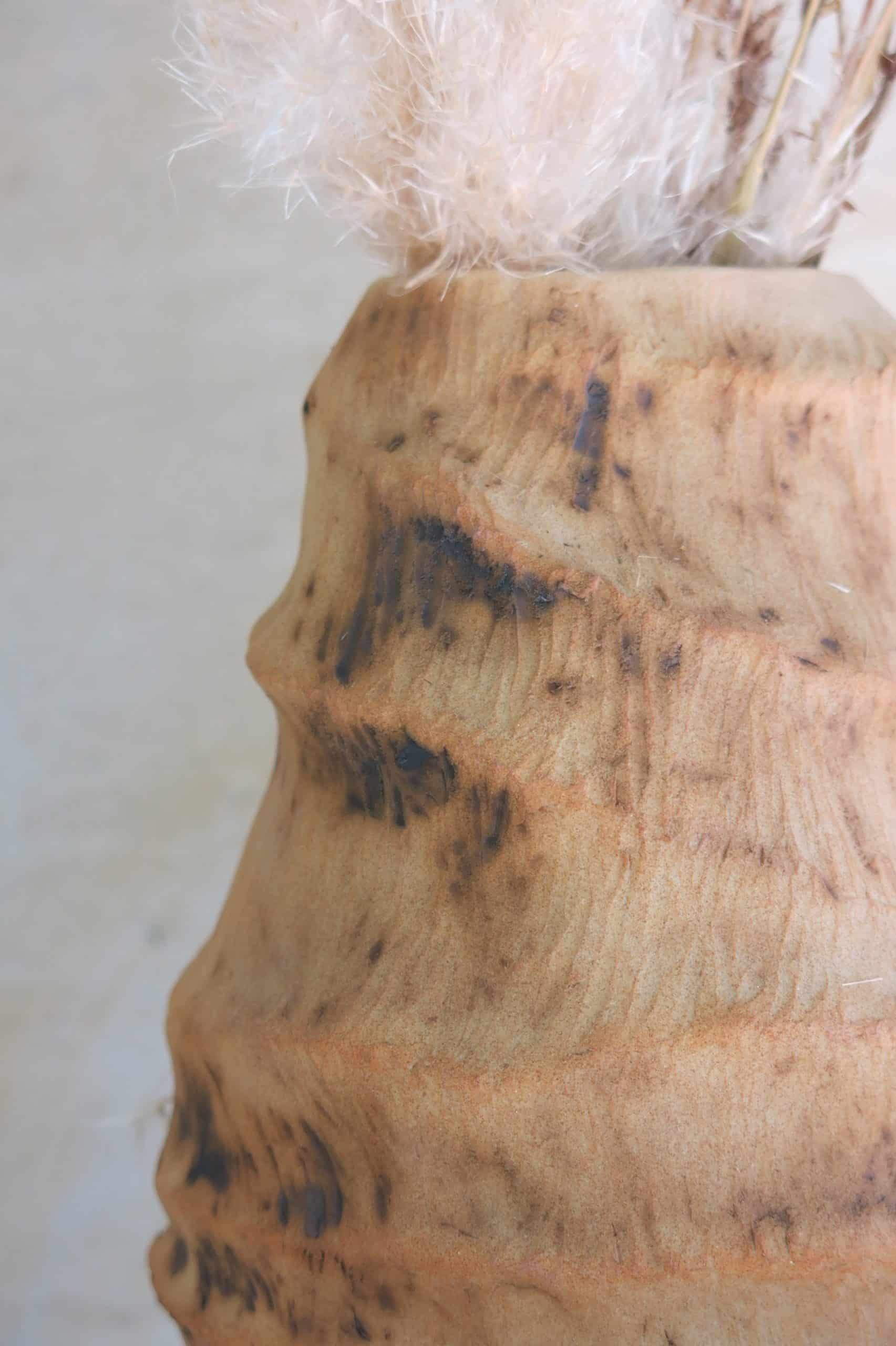 Vase-vag-Brut-GP